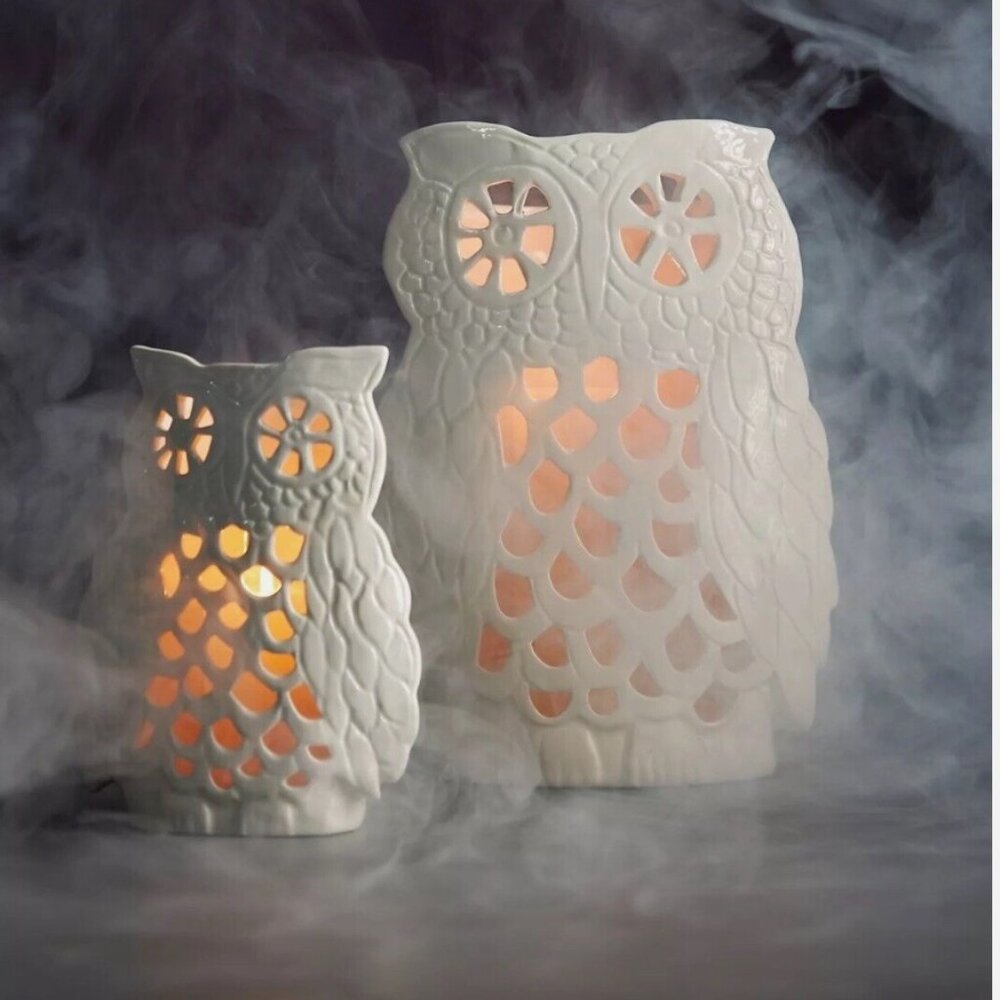 Francesca Kaye Anthropologie 7” x 5” Halloween Magic Owl Lantern